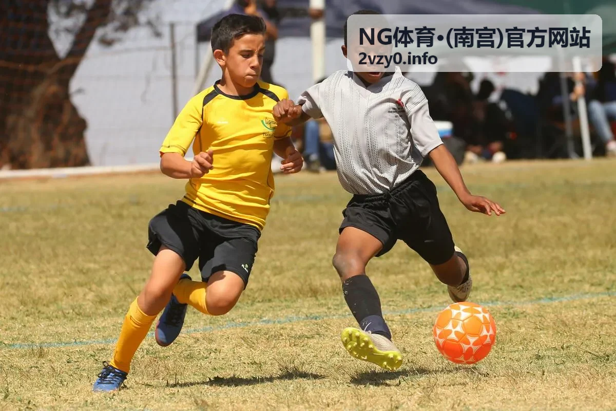 NG体育·(南宫)官方网站赛事资讯 规则与背景说明